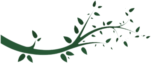 rama-verde